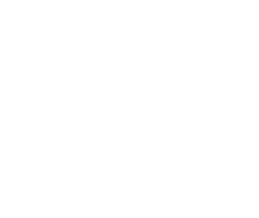 ALTEG